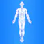 Minimum Effective Dose Workout
