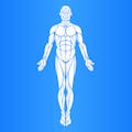 Minimum Effective Dose Workout