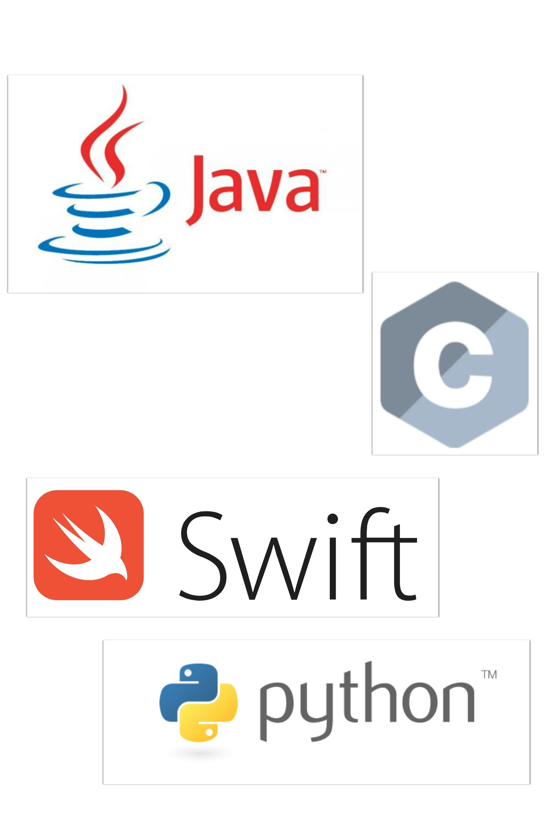 PORCUPiNE gallery image