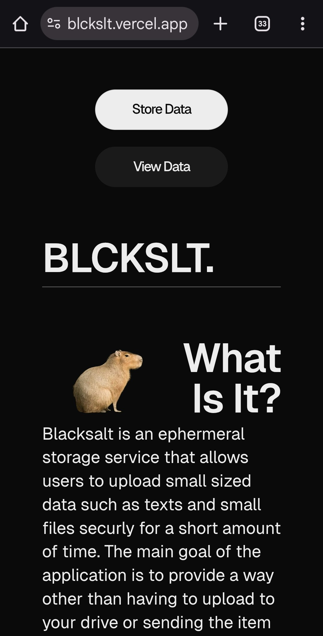 Média blckslt - Service de stockage éphémère sécurisé pour des données à faible volume 2