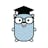 Golang College