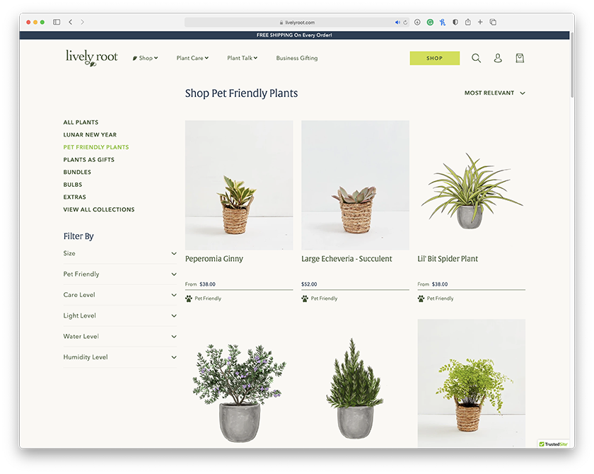 Lively Root gallery image
