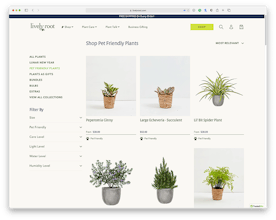 Lively Root gallery image