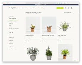 Lively Root gallery image