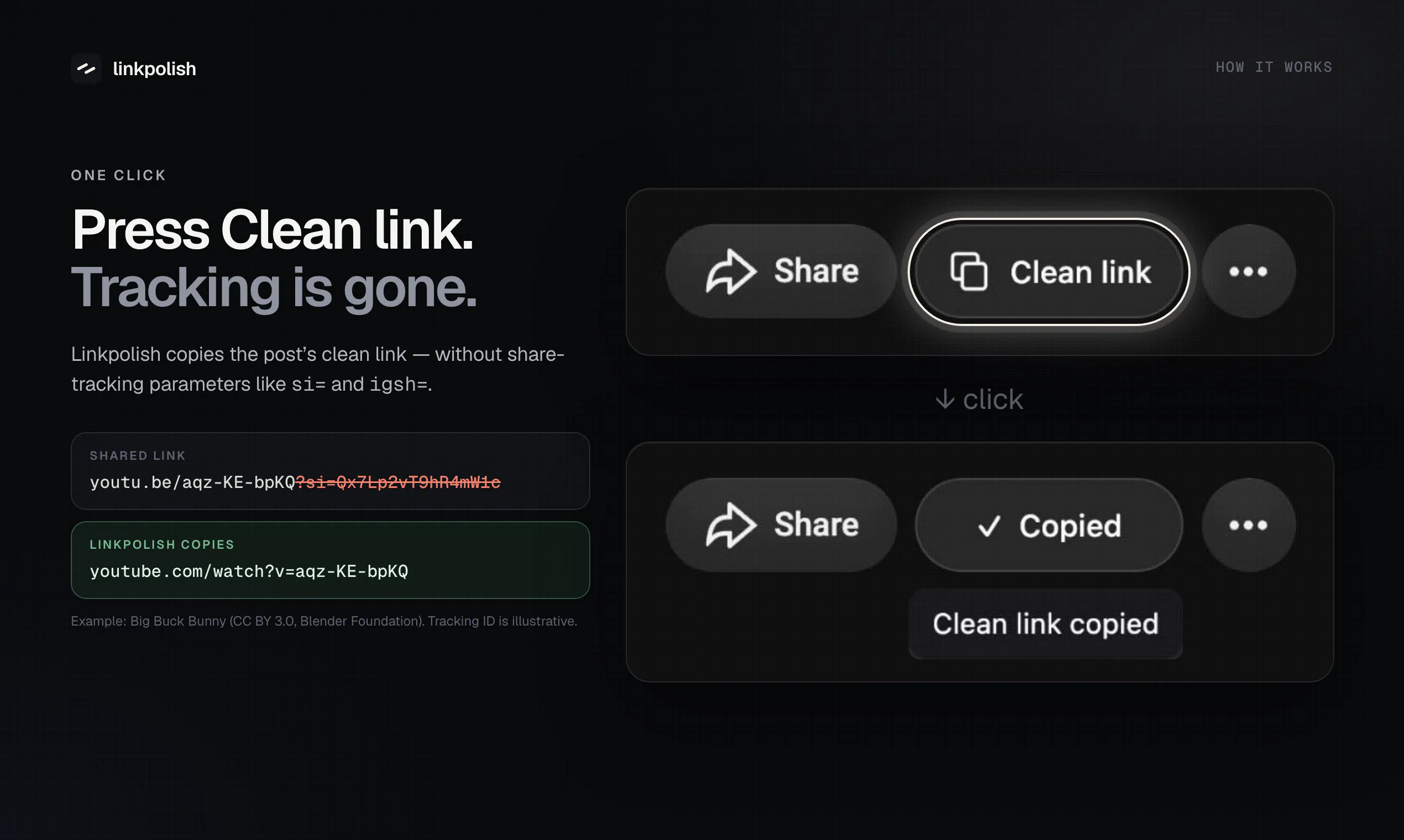 Linkpolish gallery image