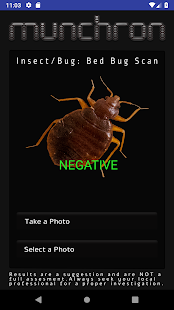 Munchron - Bed Bug Detection gallery image