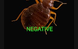 Munchron - Bed Bug Detection media 3