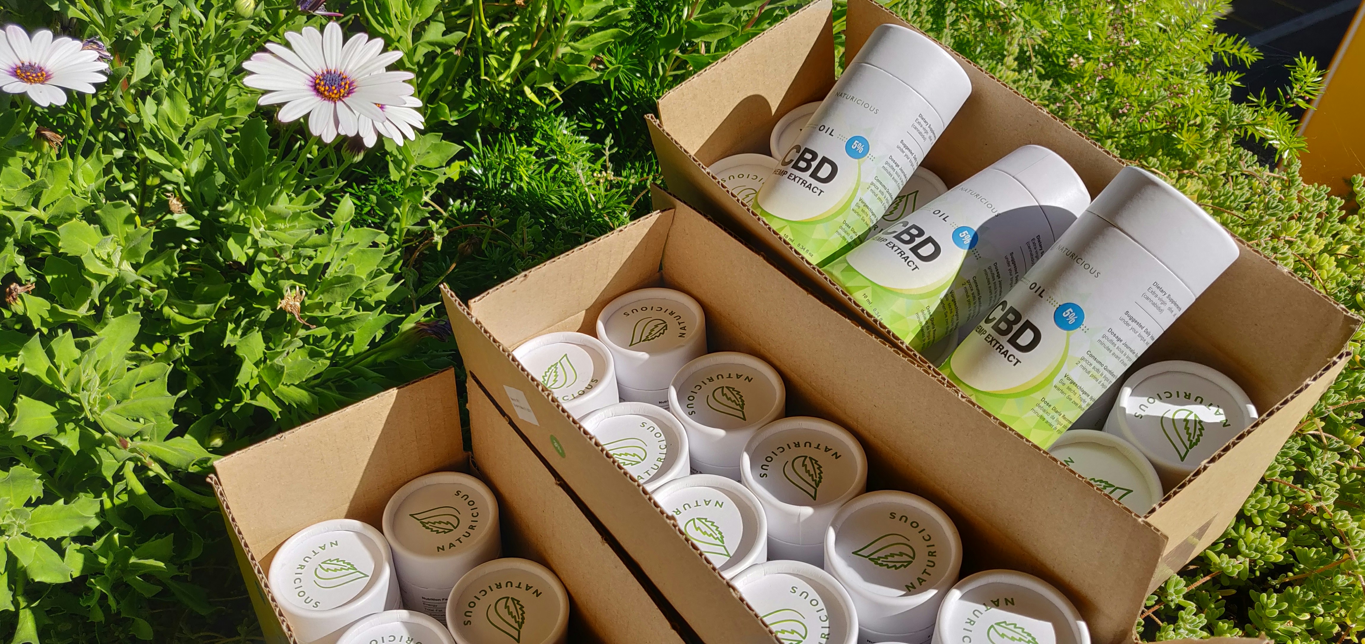 Naturicious.pt - Oleo CBD Portugal gallery image