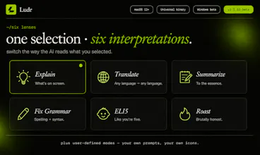 Ludr AI — Understand Any Screen gallery image