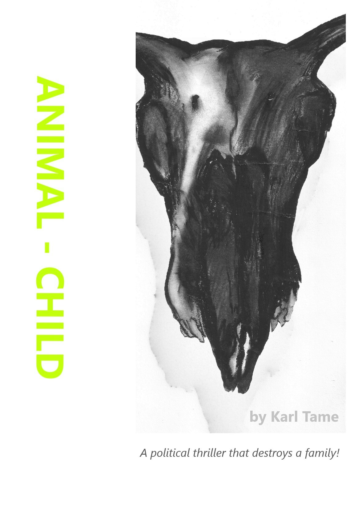 Amazon.com gallery image