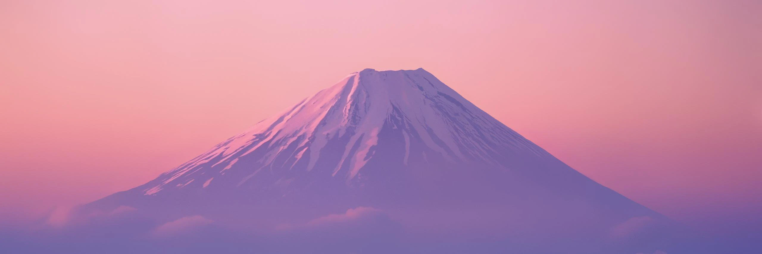 Nijiko Yonskai cover