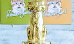 Golden Kitty Awards 2016 image