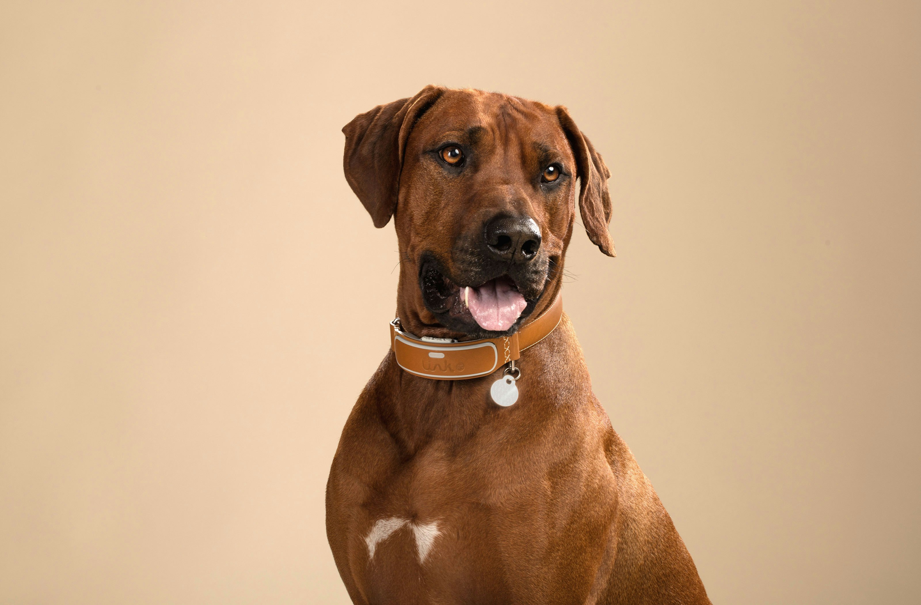 LINK AKC Smart Dog Collar gallery image