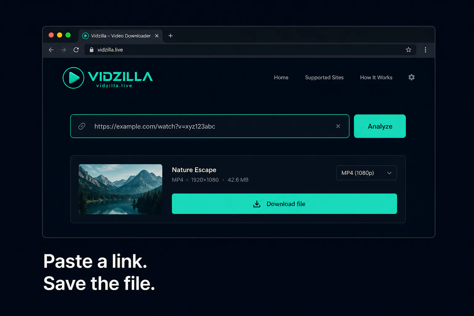 Vidzilla gallery image