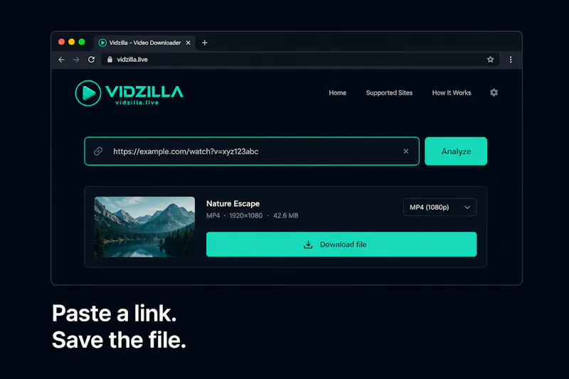 Vidzilla screenshot 2