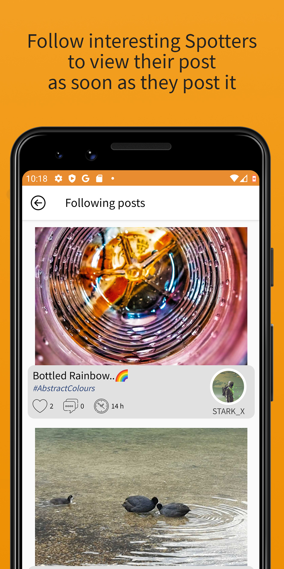 Spottd gallery image