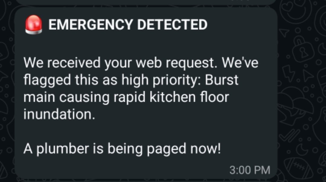 Plumber Triage gallery image