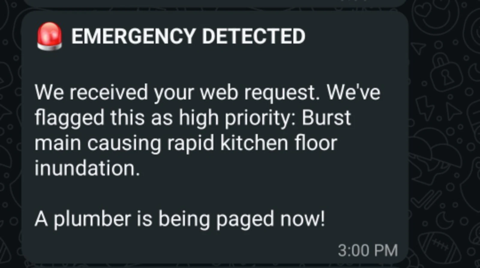 Plumber Triage screenshot 4