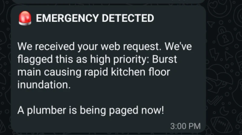 Plumber Triage screenshot 4
