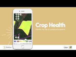 Orbit Scouting & Crop Health gallery image