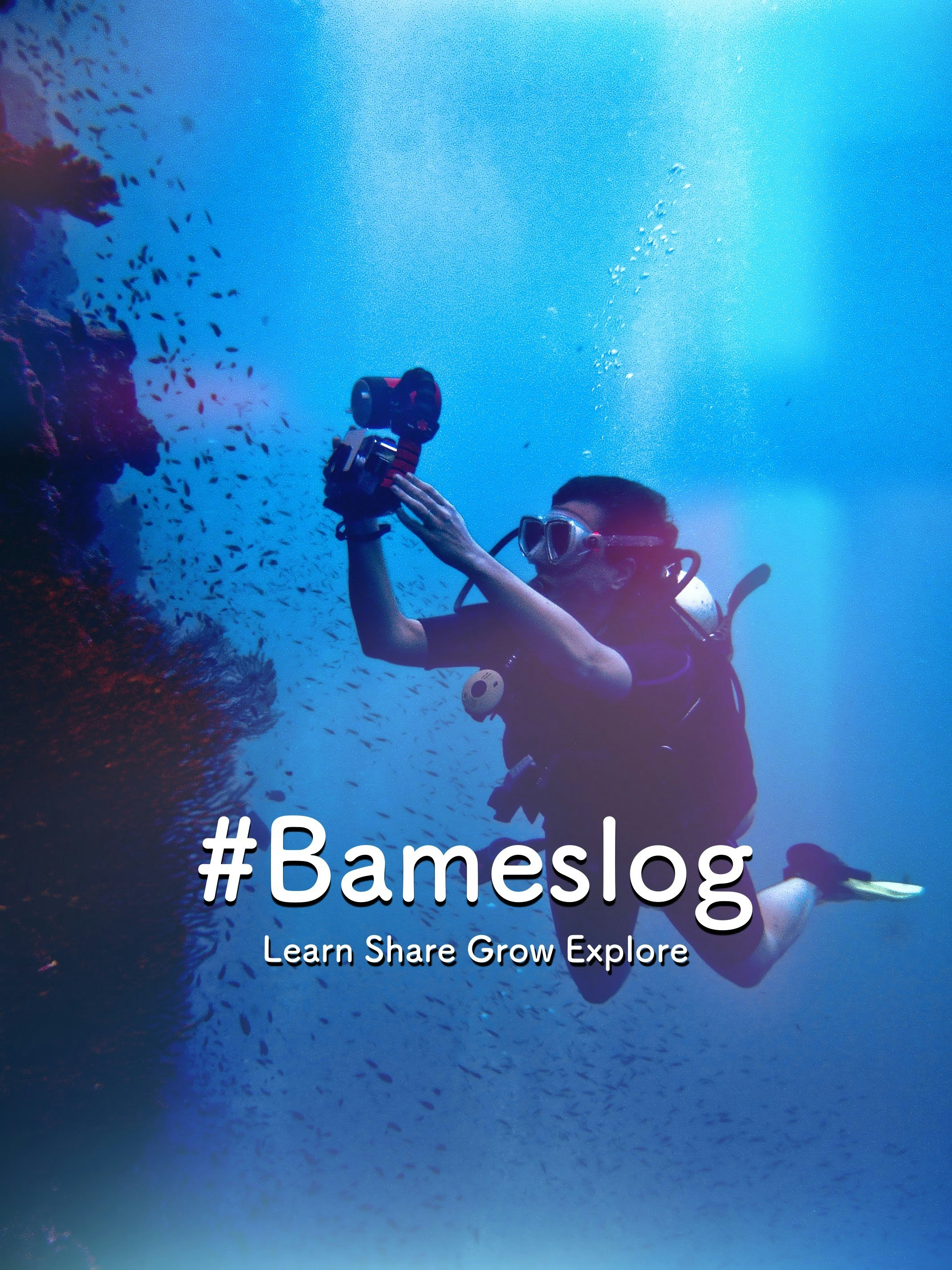 Bameslog gallery image