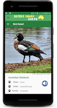 Australia Birds ID gallery image