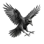 Munin