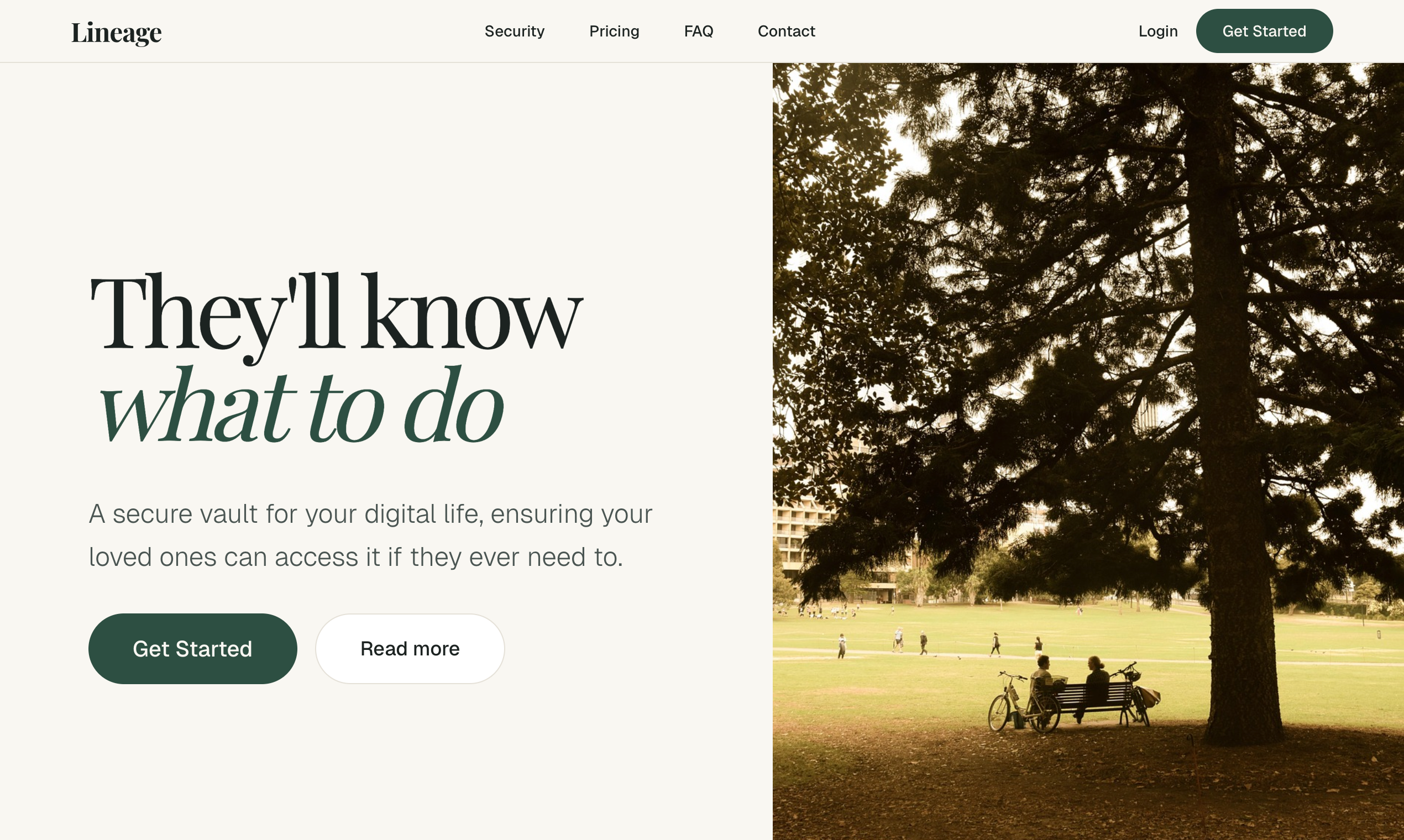 Lineage gallery image
