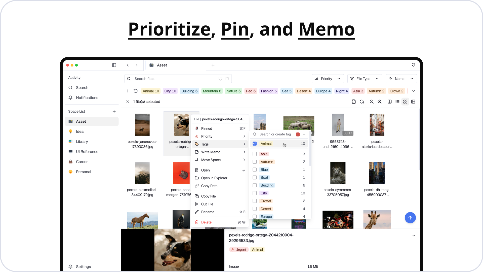 Spacer - Screenshot 4 showing product features and functionality