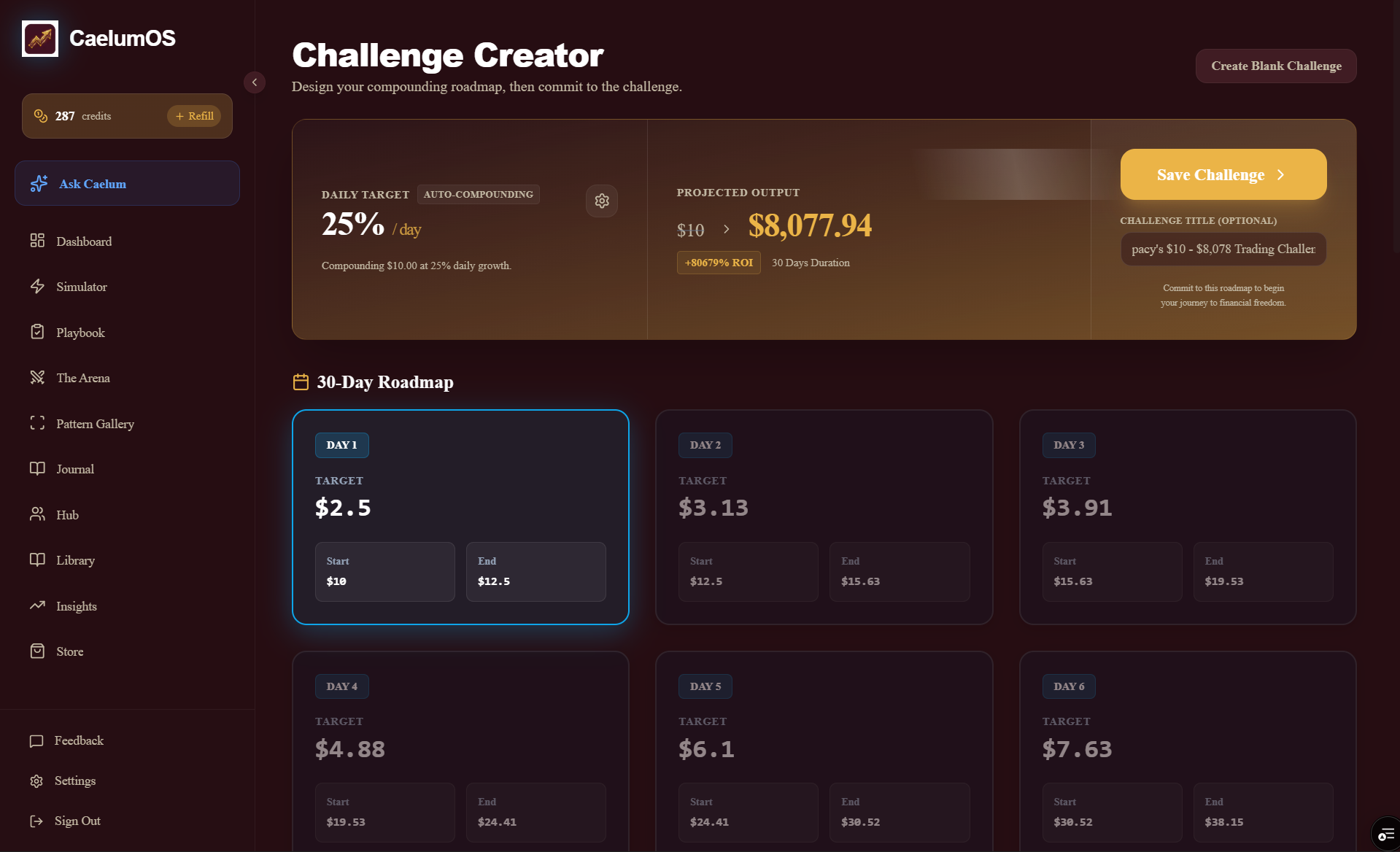 CaelumOS gallery image