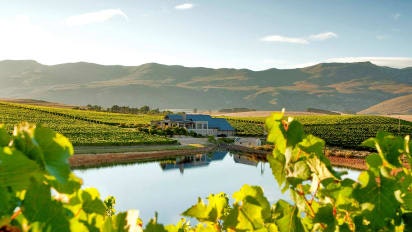 Best vineyards in south africa gallery image