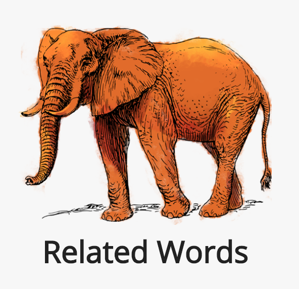 Related Words