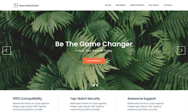 Meet MetaSlider WordPress Theme gallery image