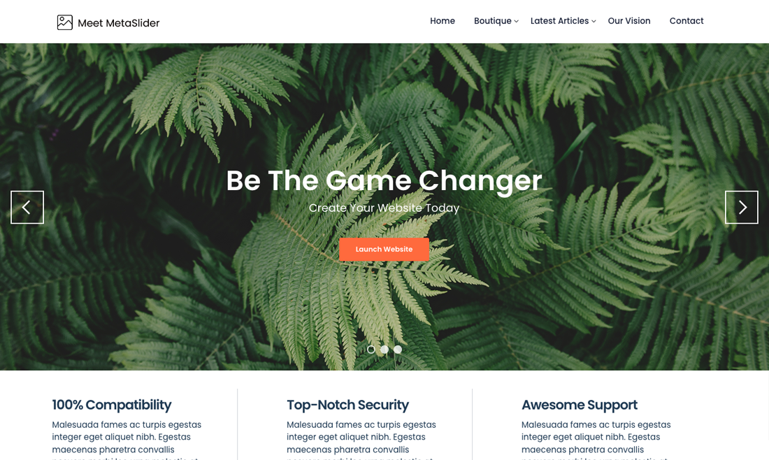 Meet MetaSlider WordPress Theme media 1