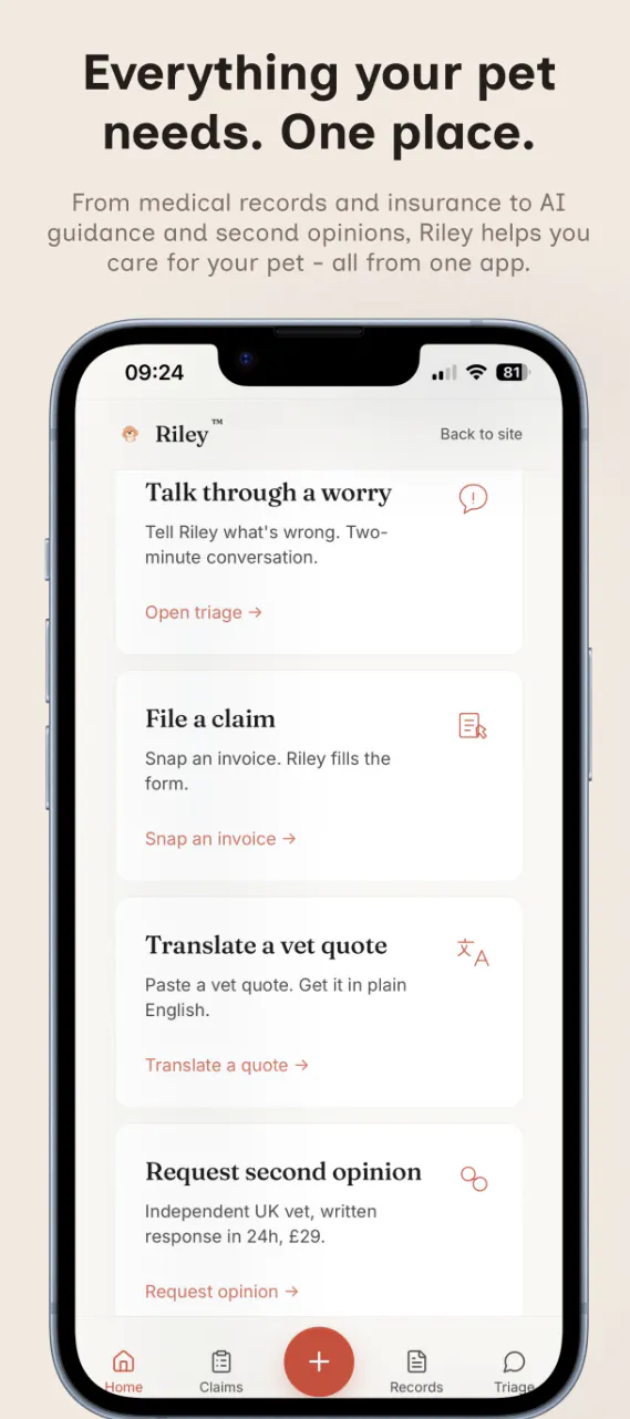 Riley gallery image