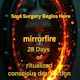 Mirrorfire 28-Day Interactive App