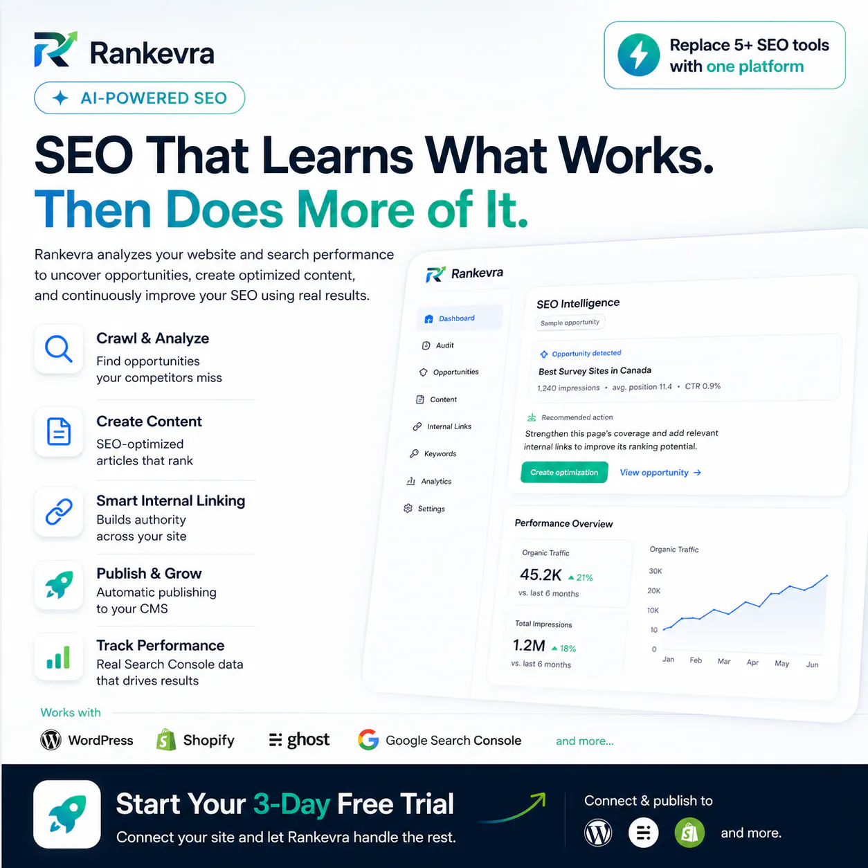 Rankevra gallery image