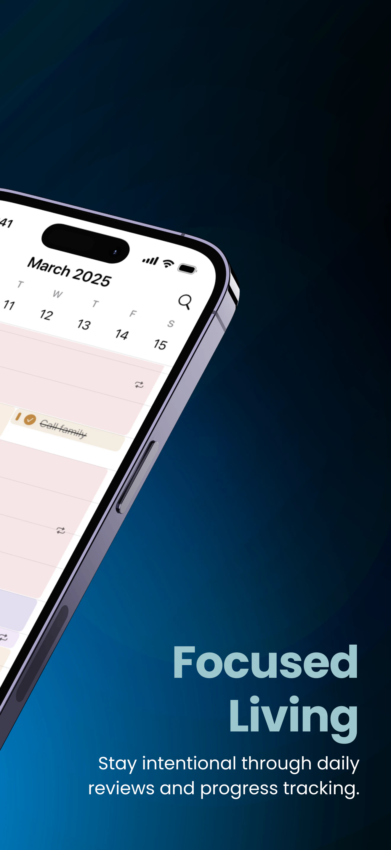 Strive Planner screenshot 2