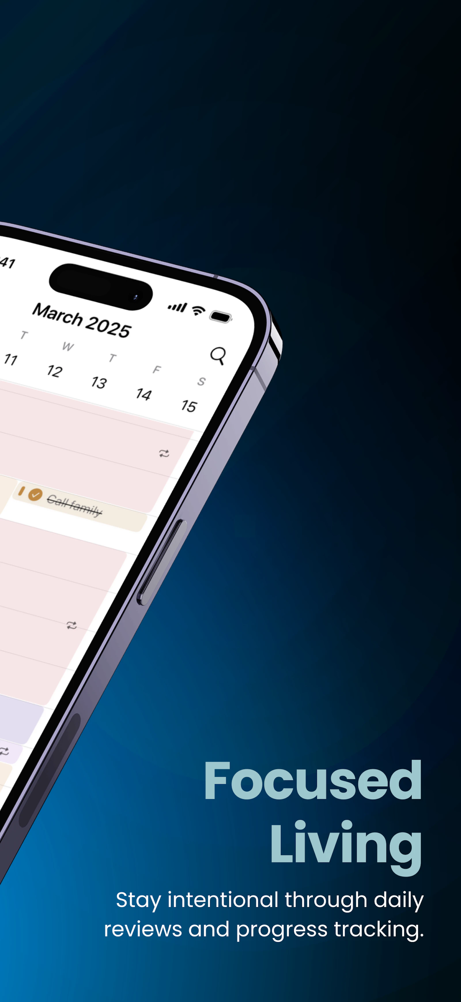 Strive Planner screenshot 2