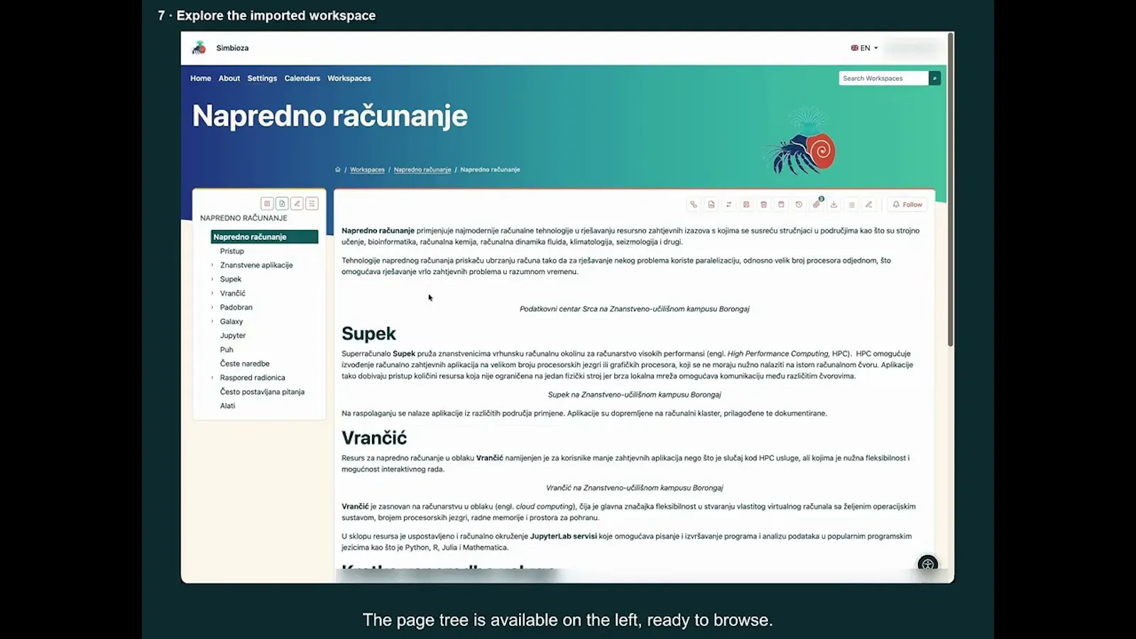 Simbioza screenshot 1 (video preview)