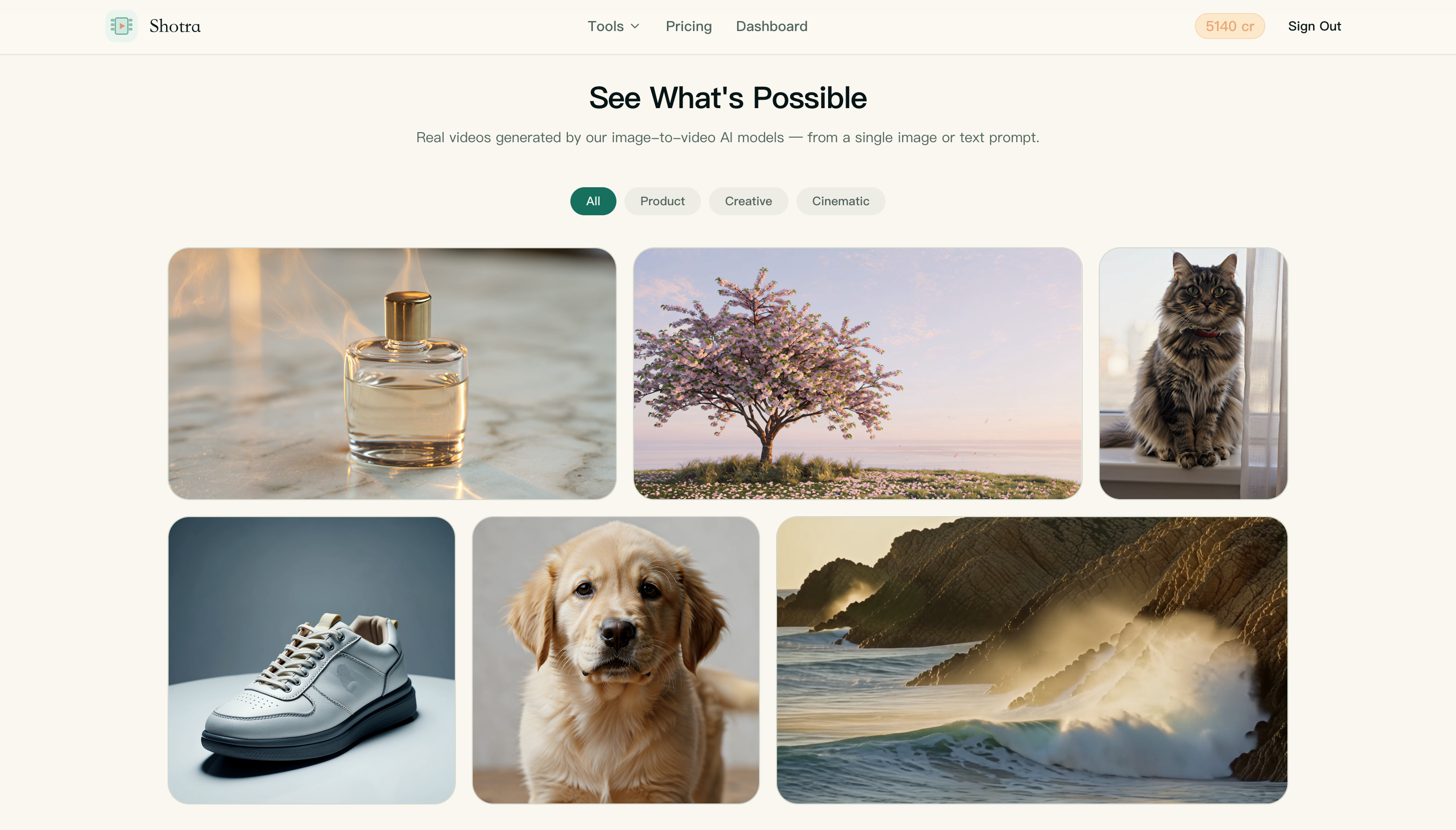 Shotra gallery image