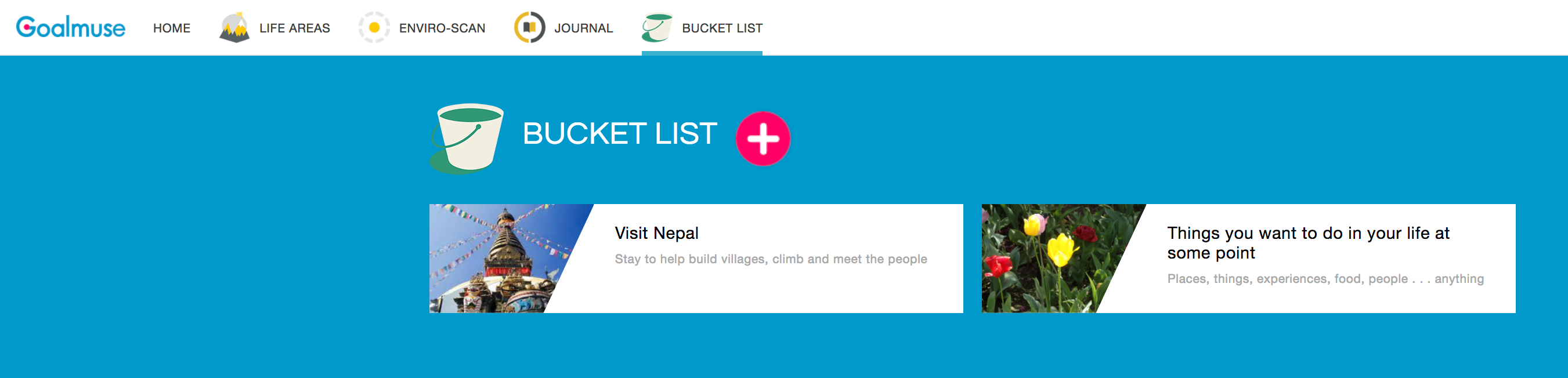 Goalmuse gallery image