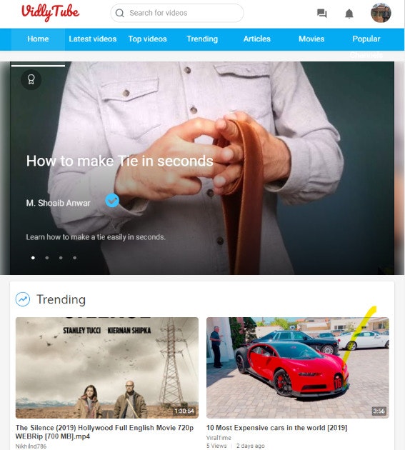 VidlyTube gallery image