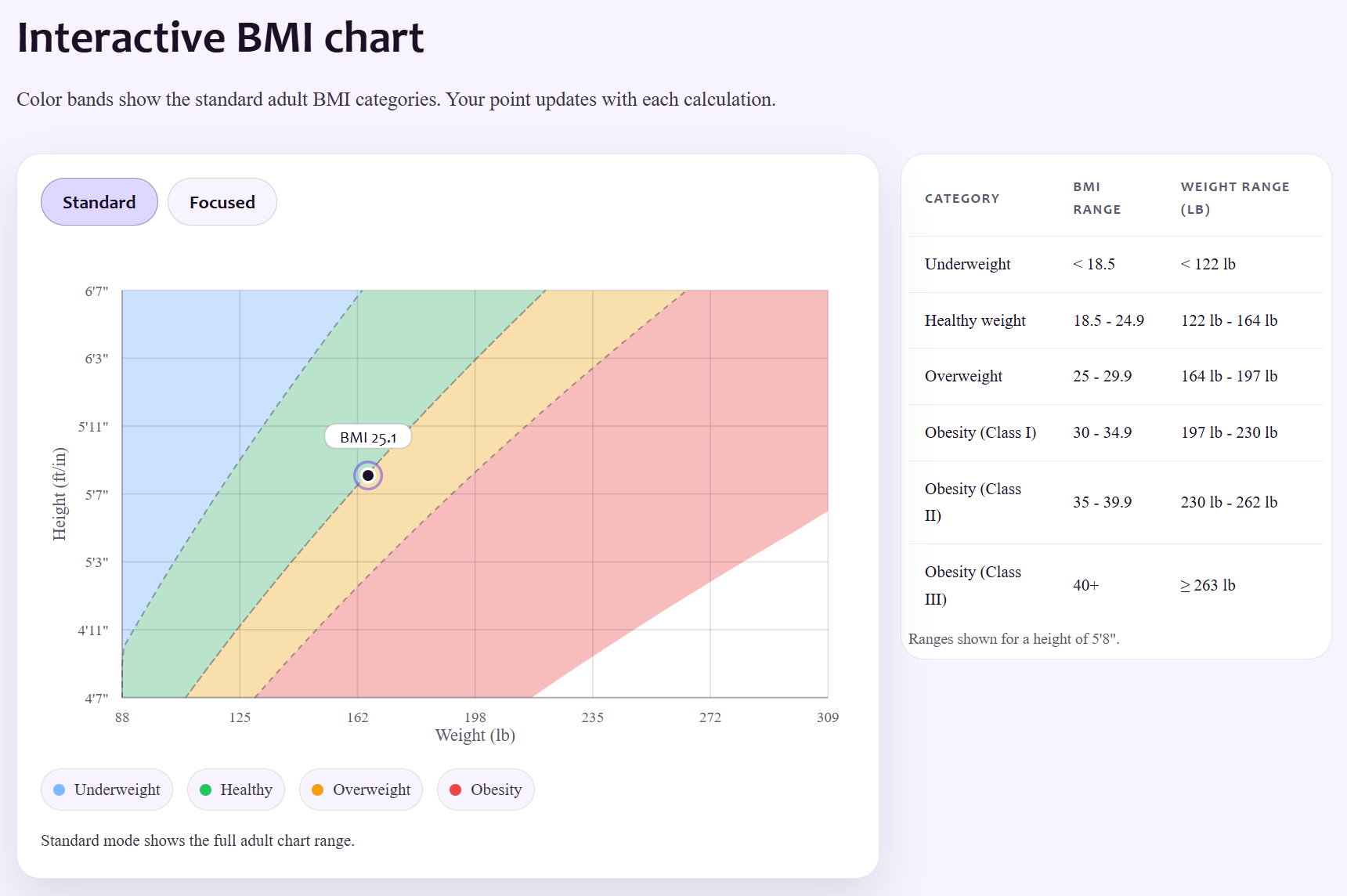CalcWise gallery image
