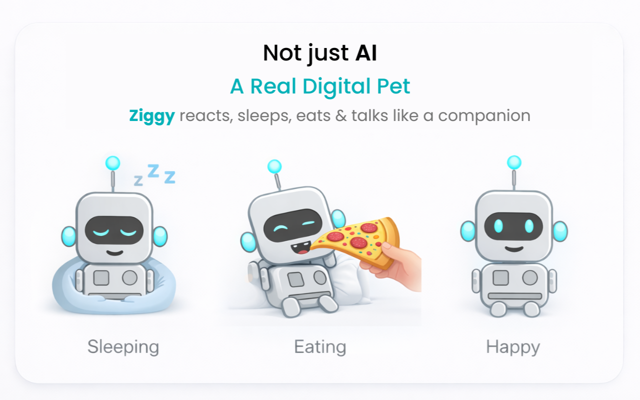 Ziggy - Screenshot 2 showing product features and functionality