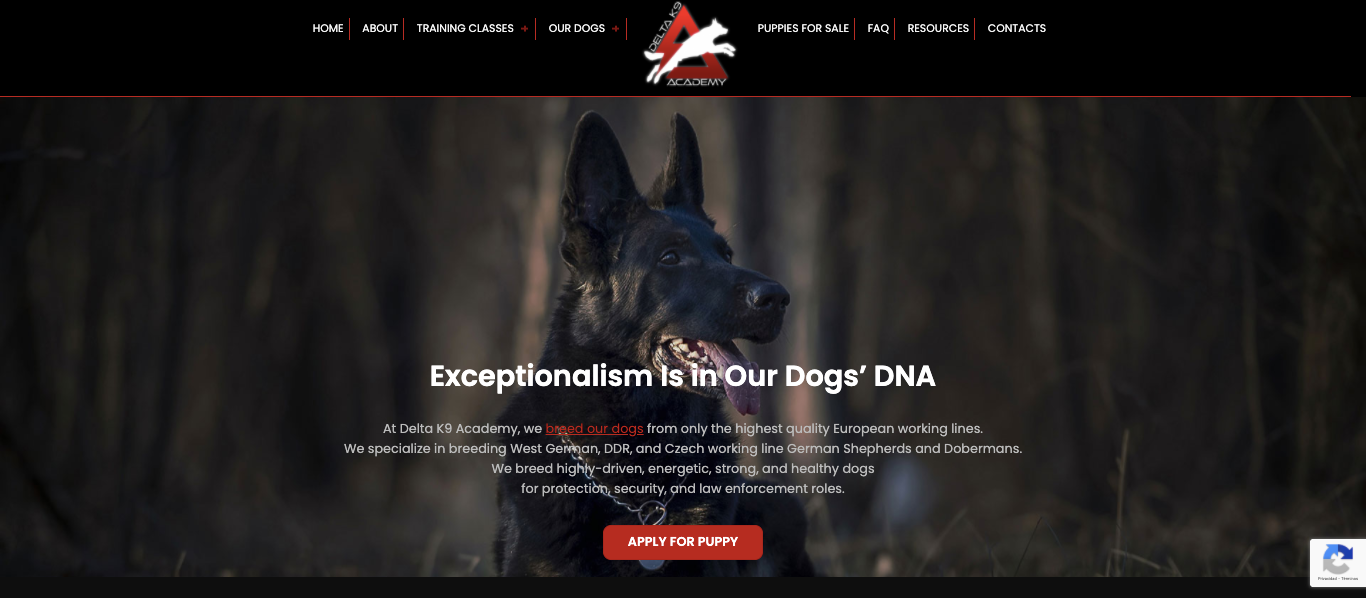 Delta K9 Academy gallery image