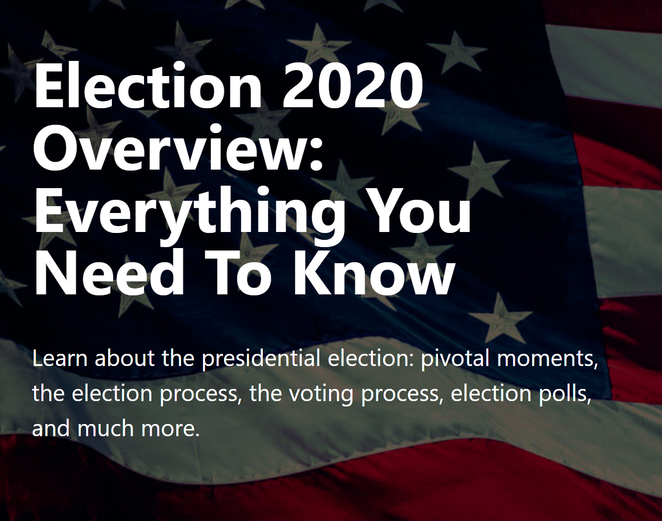 LEARN Everything | US Elections 2020 gallery image