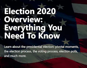 LEARN Everything | US Elections 2020 gallery image