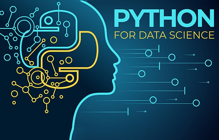 Programming for Data Science with Python gallery image