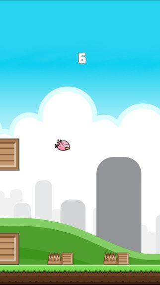 Bouncy Bird gallery image